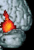 Une nouvelle approche
pour aider la lecture chez les dyslexiques