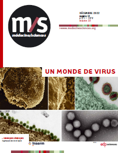 Un monde de virus