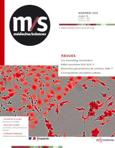 Image_cover