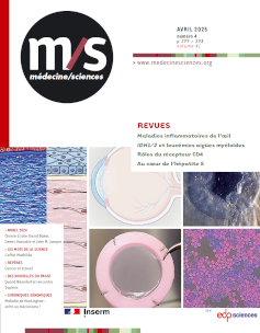 Image_cover