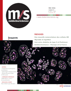 Image_cover