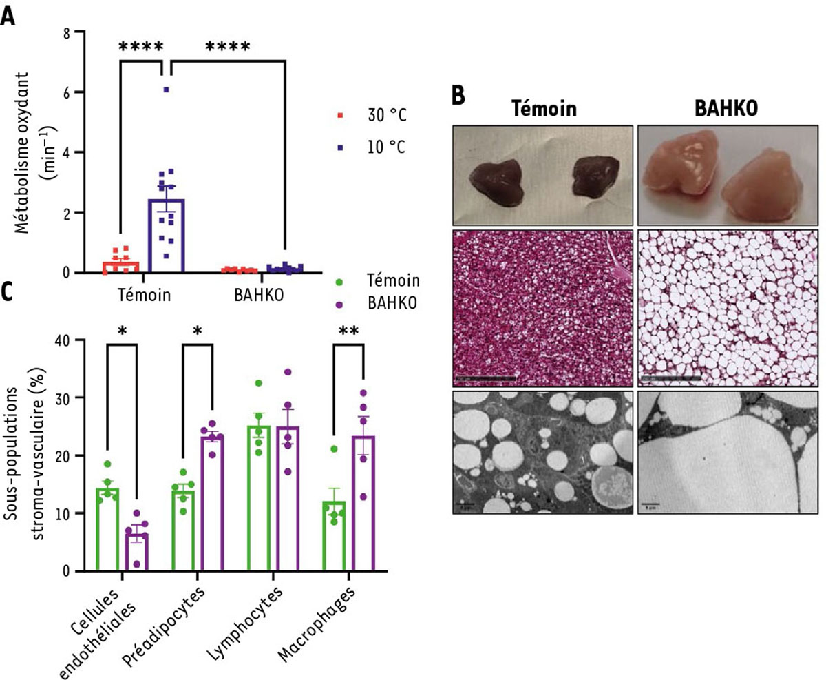Figure 1. Reportez-vous à la légende suivante et au texte qui l'entoure.