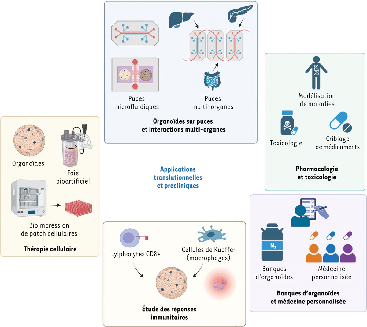 Figure 4 Reportez-vous à la légende suivante et au texte qui l'entoure.