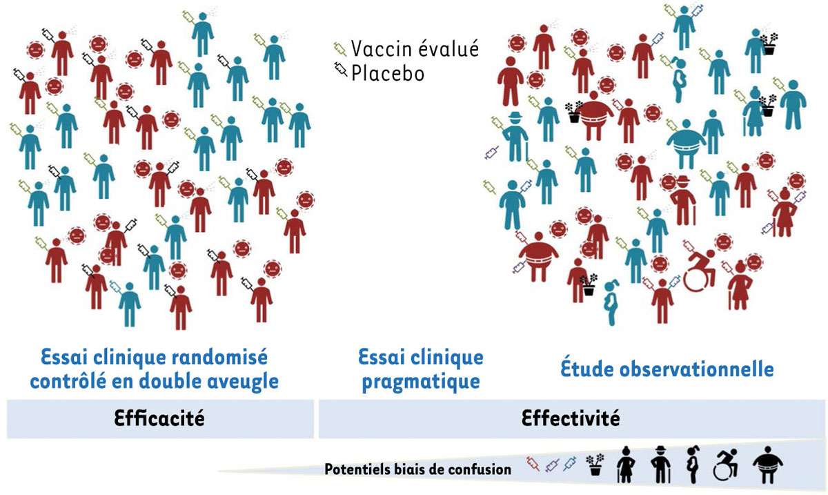 Figure 1 Reportez-vous à la légende suivante et au texte qui l'entoure.
