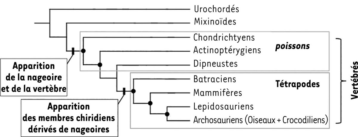 Figure 1 Reportez-vous à la légende suivante et au texte qui l'entoure.