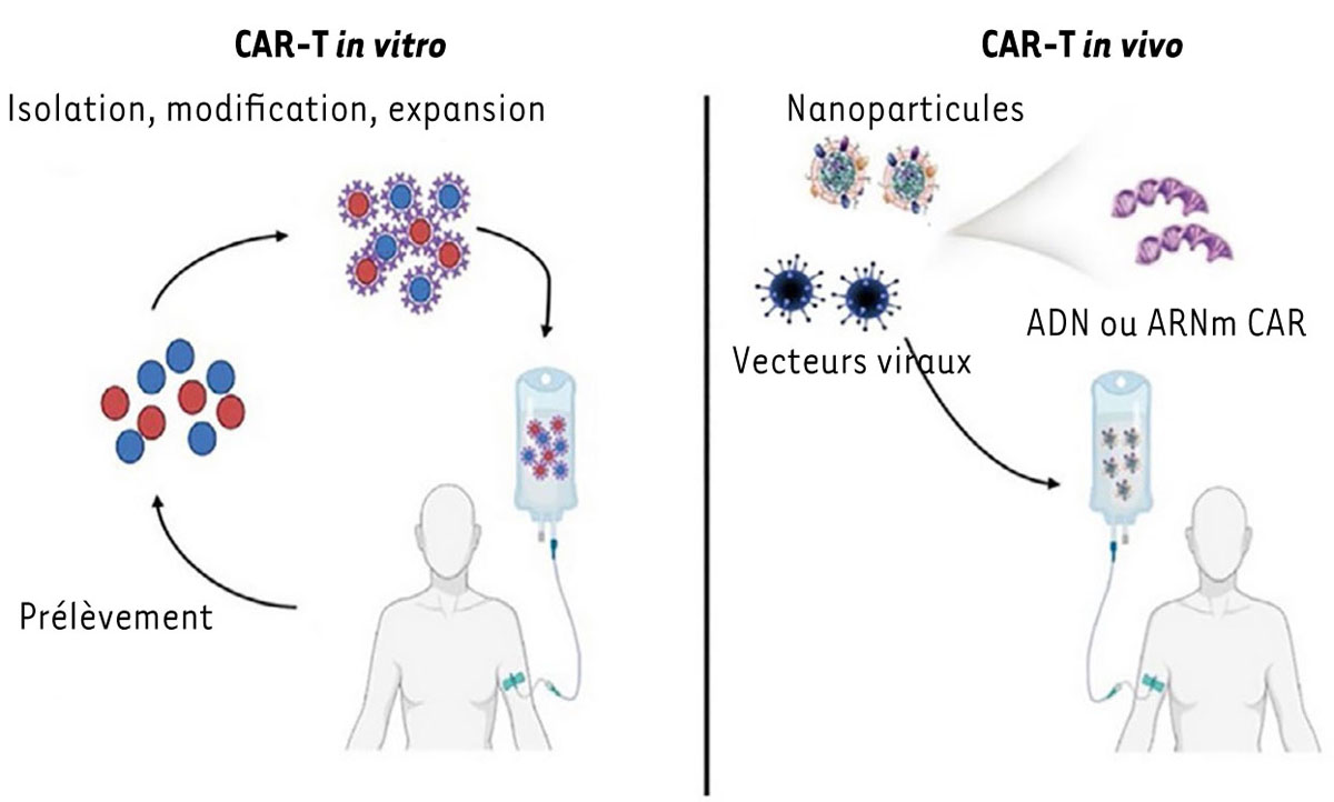 Figure 3 Reportez-vous à la légende suivante et au texte qui l'entoure.