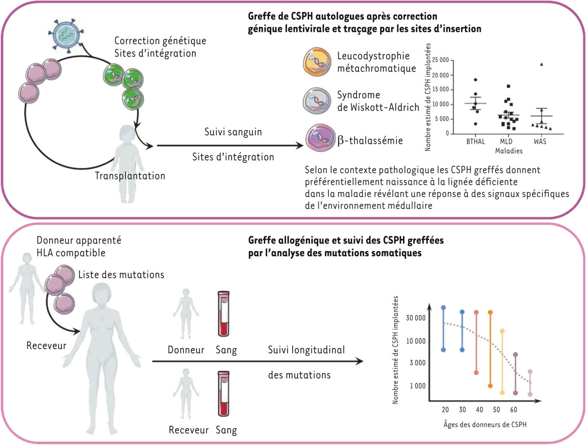 Figure 1 Reportez-vous &agrave; la l&eacute;gende suivante et au texte qui l'entoure.