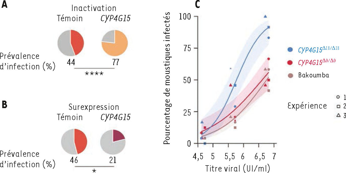 Figure 1 Reportez-vous &agrave; la l&eacute;gende suivante et au texte qui l'entoure.
