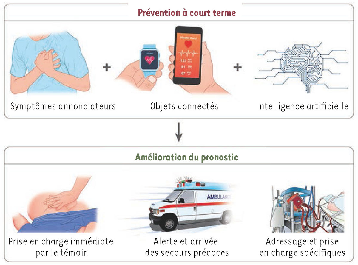Figure 1 Reportez-vous &agrave; la l&eacute;gende suivante et au texte qui l'entoure.