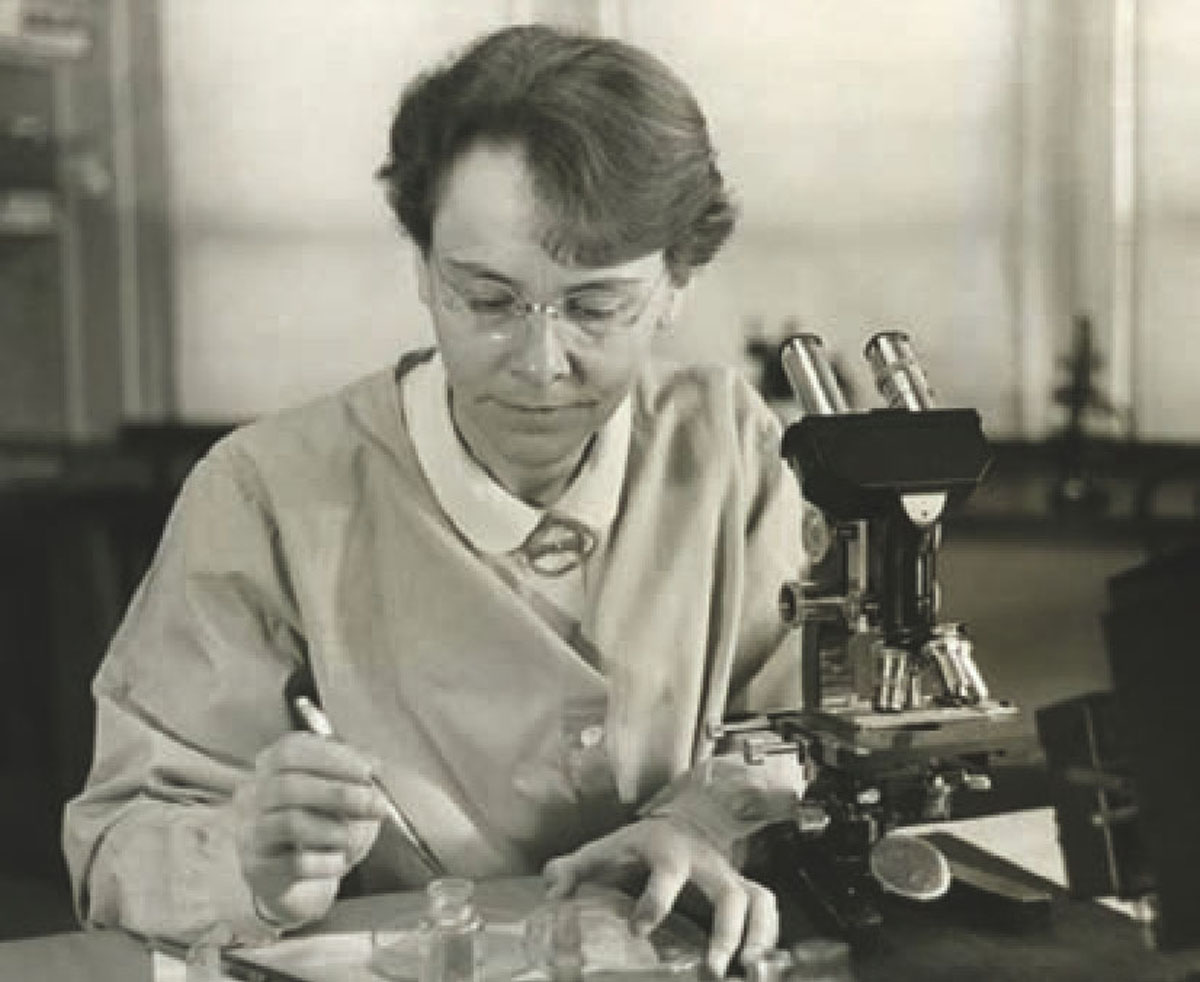 Figure 1 Reportez-vous &agrave; la l&eacute;gende suivante et au texte qui l'entoure.