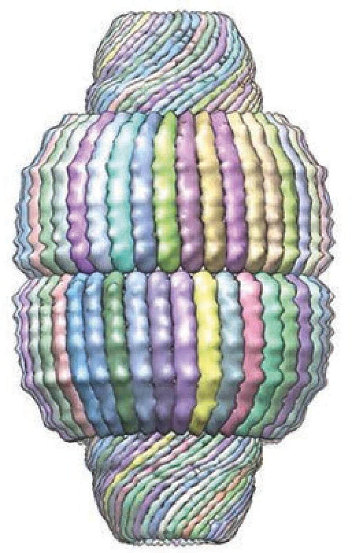 Figure 1 Reportez-vous &agrave; la l&eacute;gende suivante et au texte qui l'entoure.