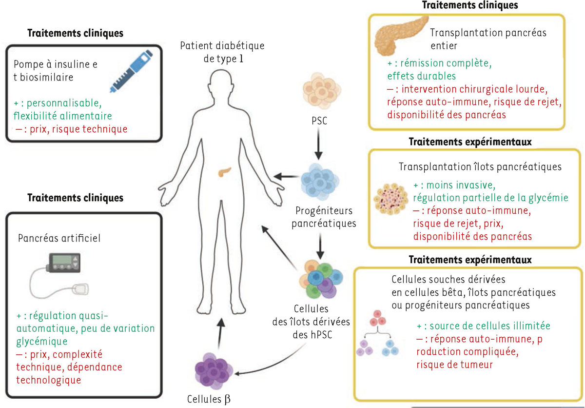 Figure 2 Reportez-vous &agrave; la l&eacute;gende suivante et au texte qui l'entoure.