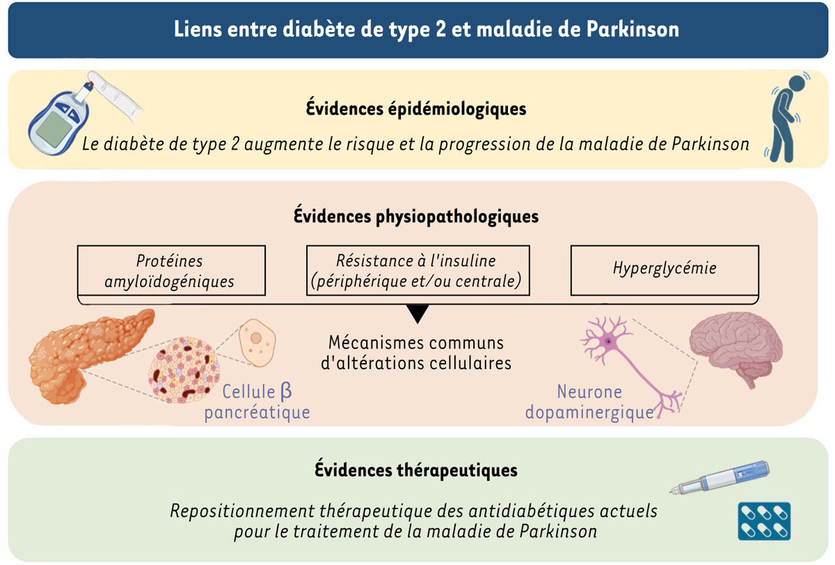 Figure 1 Reportez-vous à la légende suivante et au texte qui l'entoure.