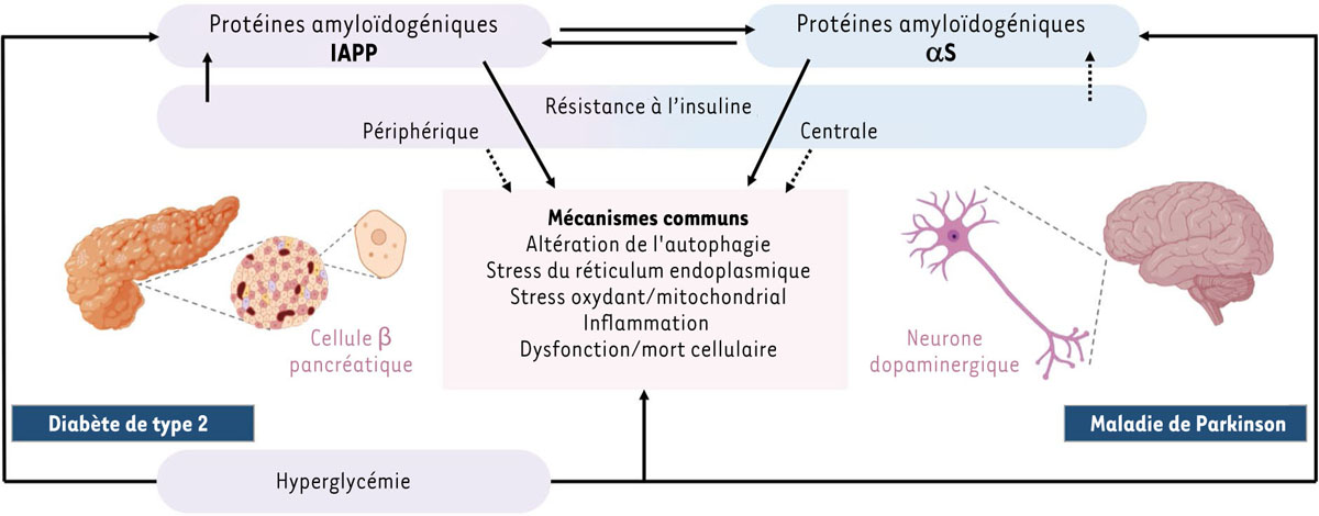 Figure 2 Reportez-vous à la légende suivante et au texte qui l'entoure.