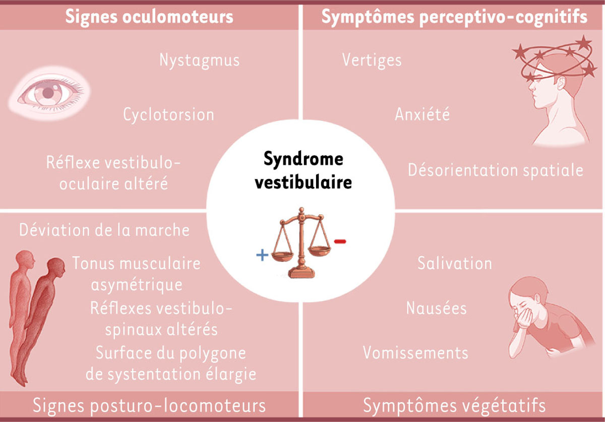 Figure 2 Reportez-vous à la légende suivante et au texte qui l'entoure.
