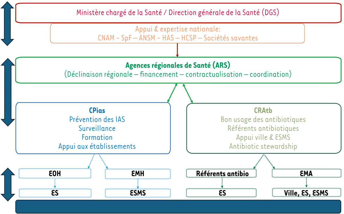 Figure 2 Reportez-vous à la légende suivante et au texte qui l'entoure.