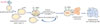 Vignette : Figure 1 Reportez-vous à la légende suivante et au texte qui l'entoure.