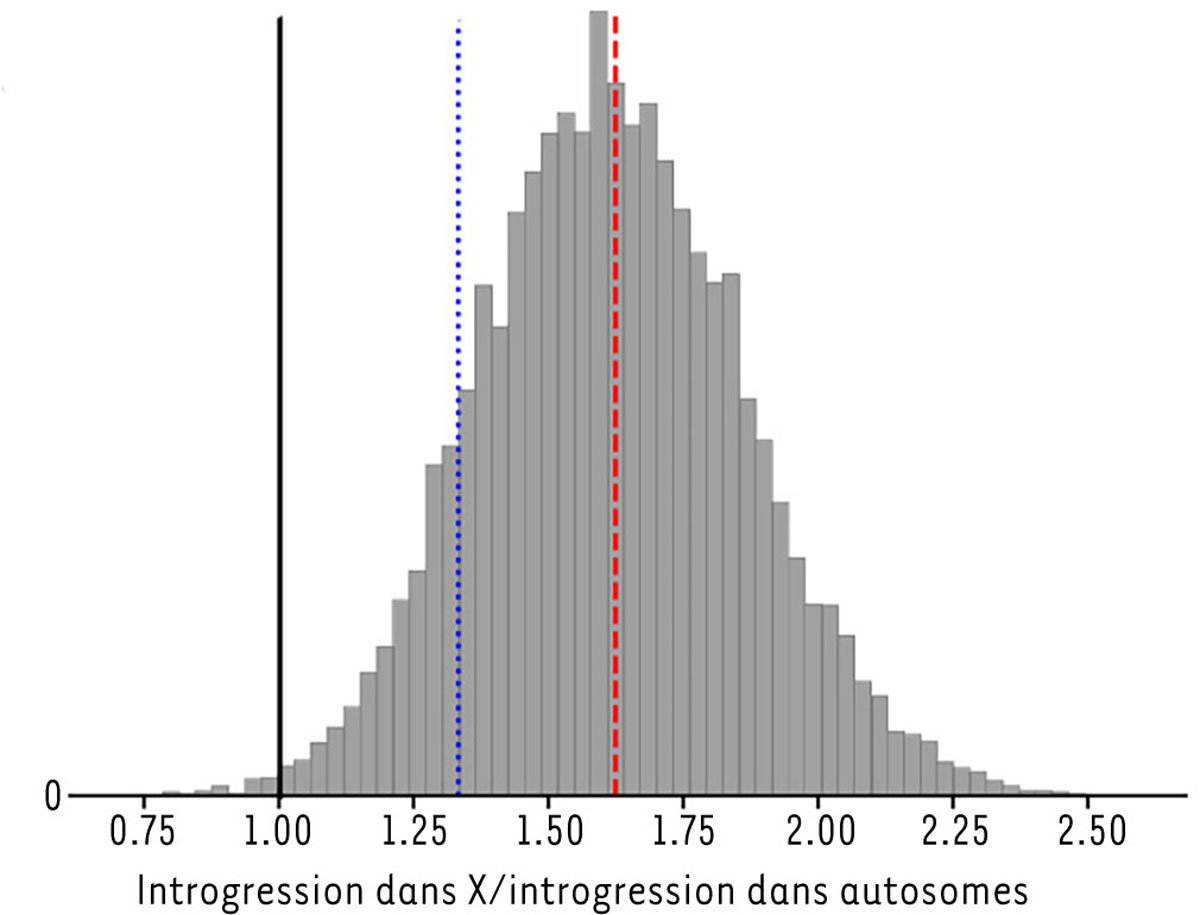 Figure 2 Reportez-vous à la légende suivante et au texte qui l'entoure.