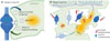 Vignette : Figure 1 Reportez-vous à la légende suivante et au texte qui l'entoure.