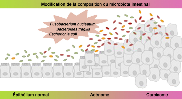 Graphical abstract