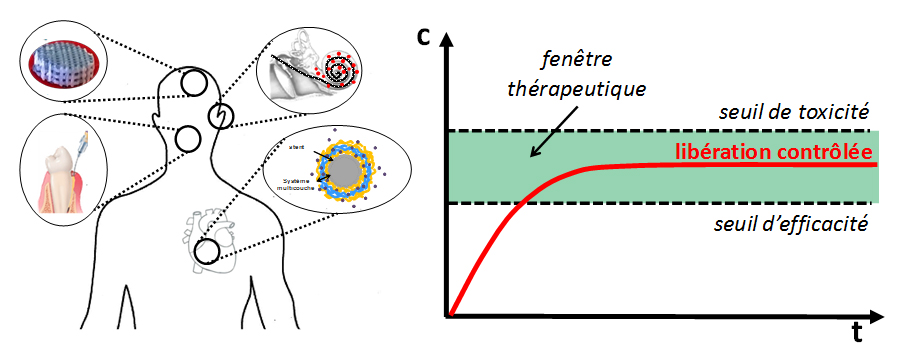 Graphical abstract