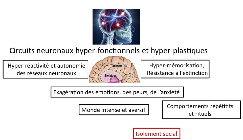 Graphical abstract