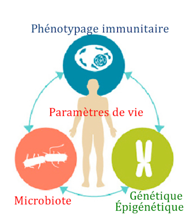 Graphical abstract