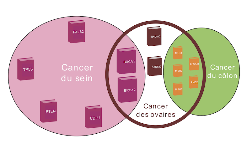 Graphical abstract