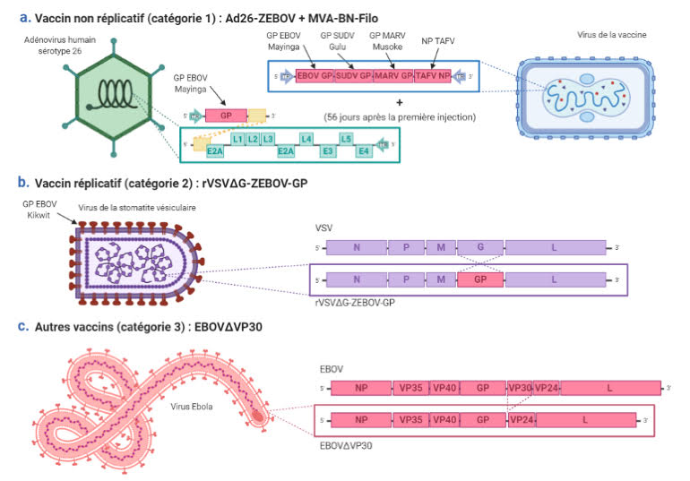 Graphical abstract