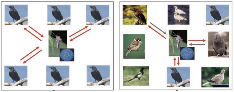 Graphical abstract