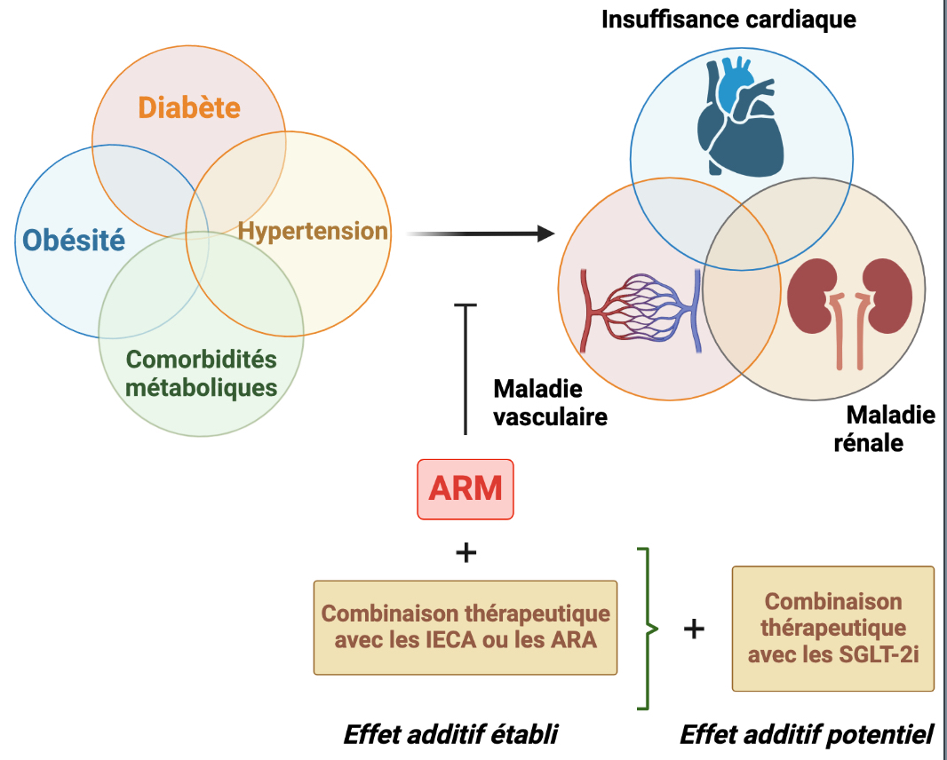 Graphical abstract