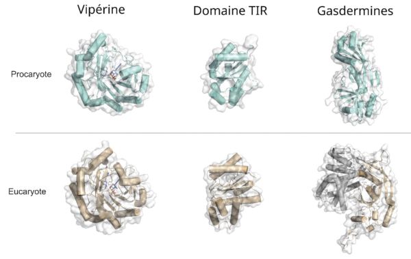 Graphical abstract