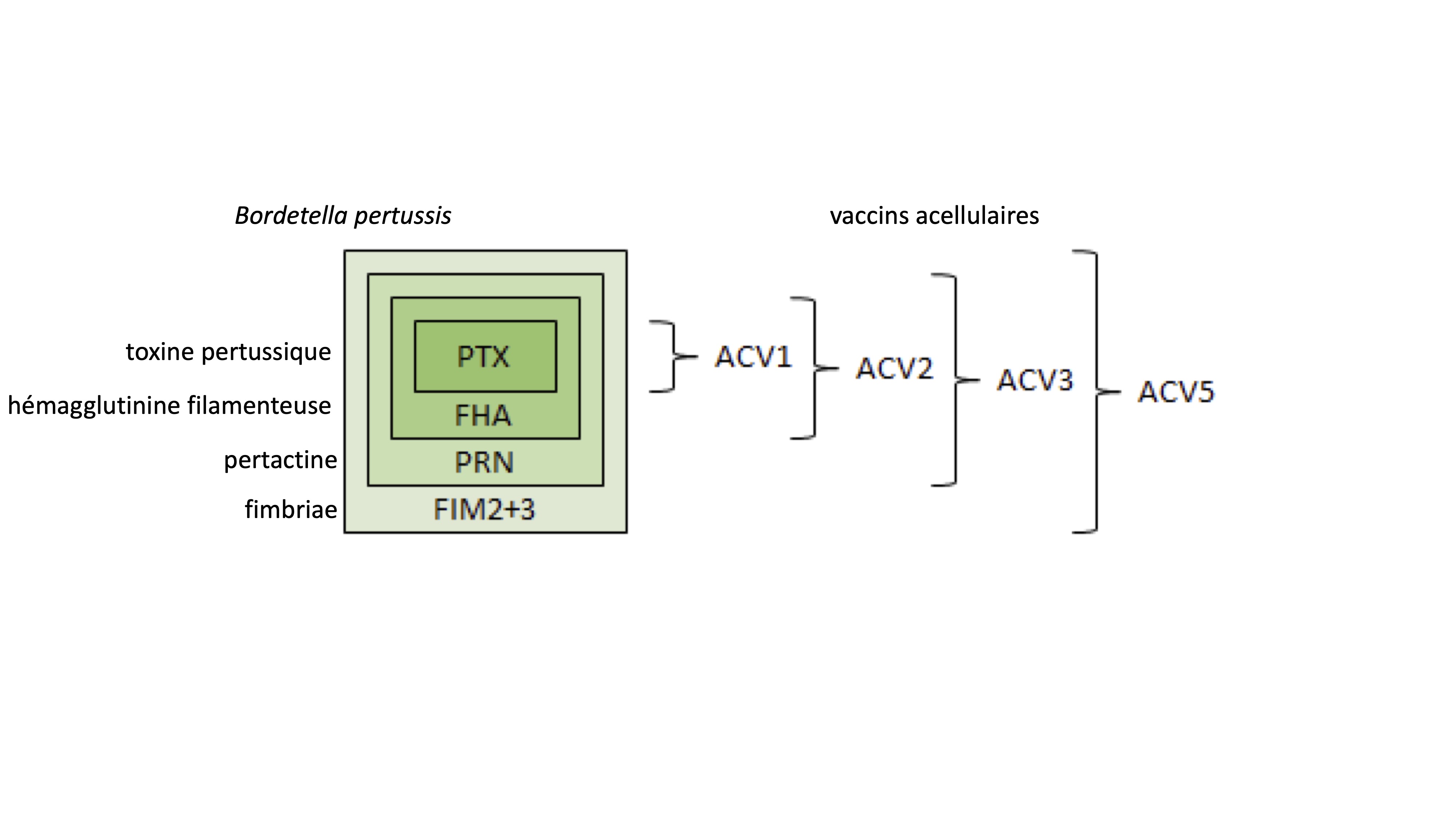 Graphical abstract