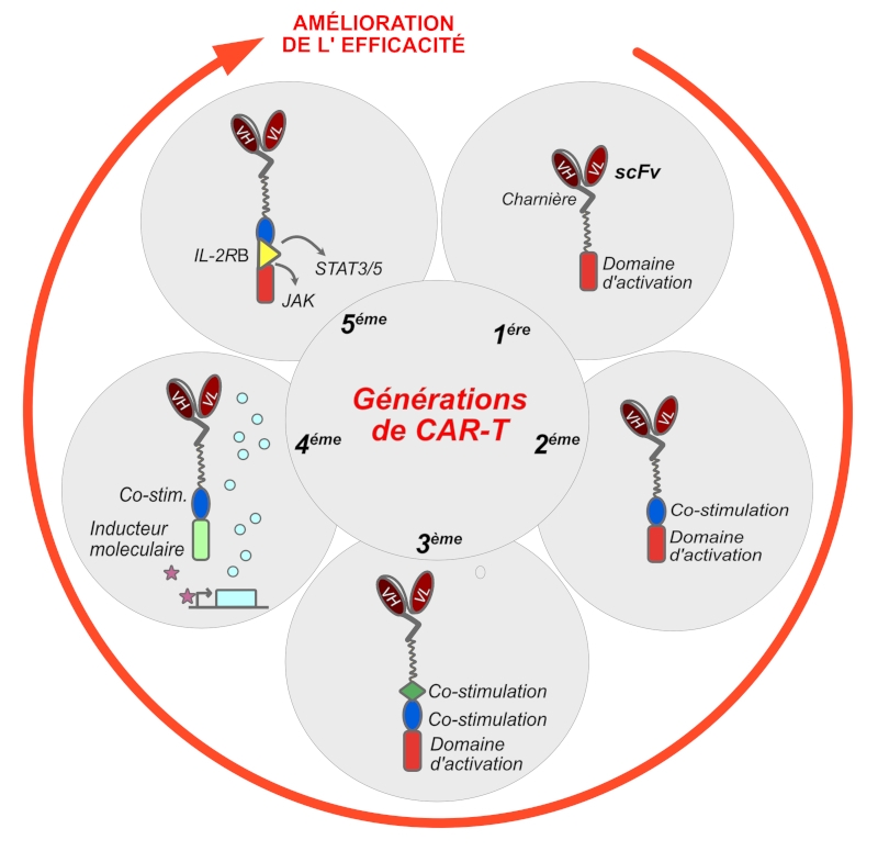 Graphical abstract