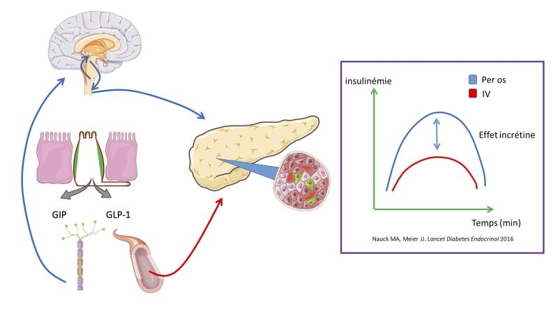 Graphical abstract