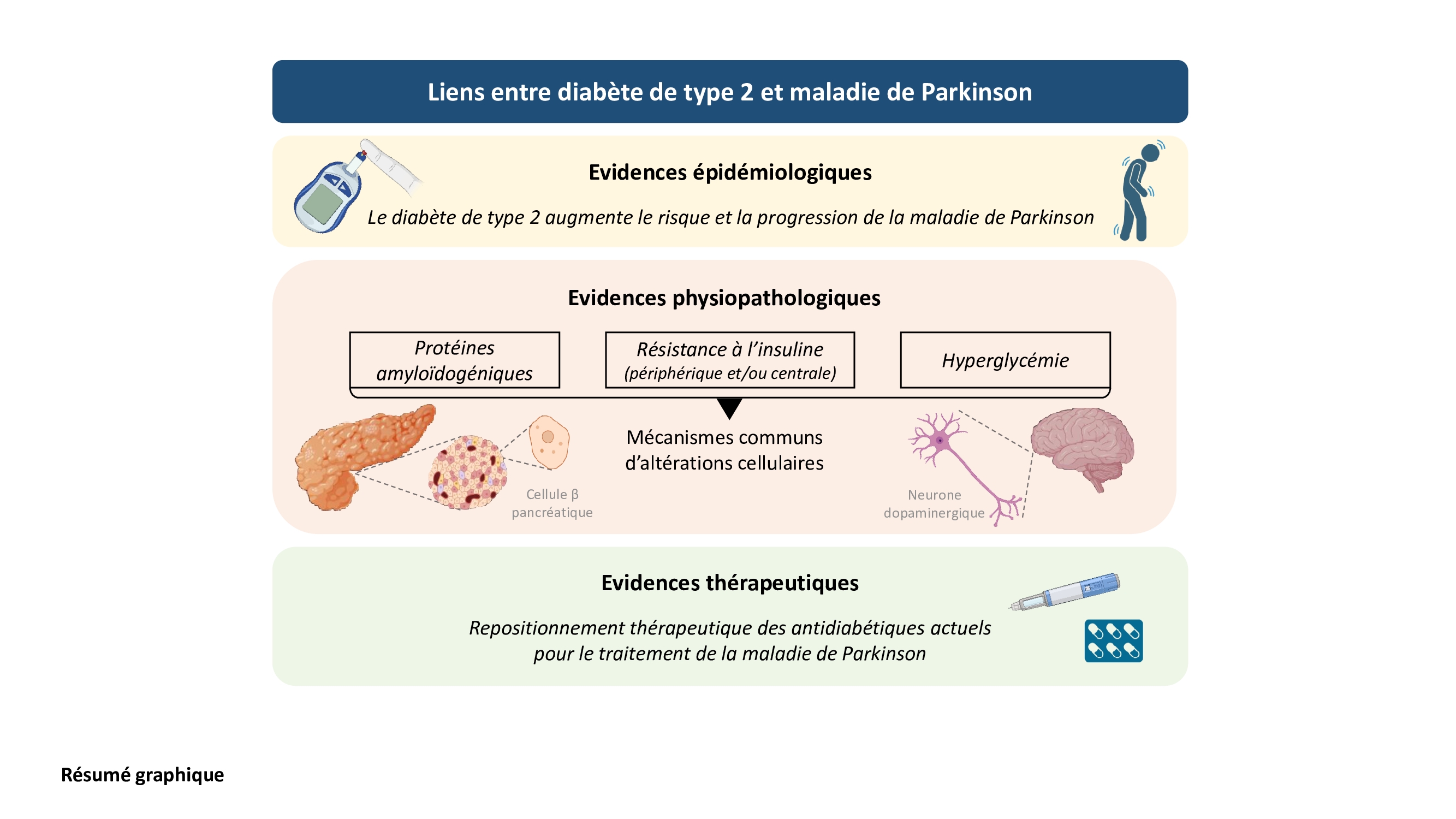 Graphical abstract