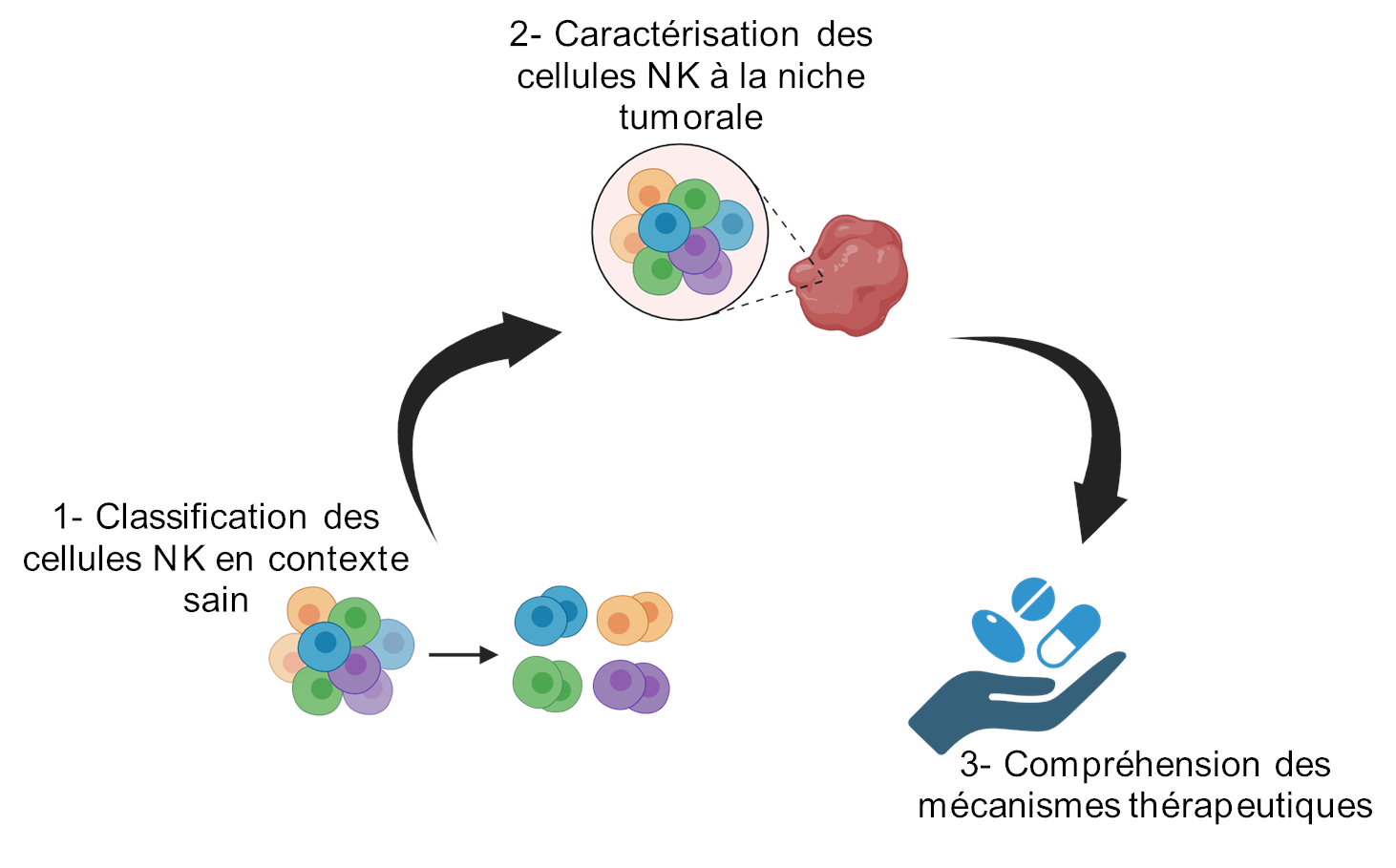Graphical abstract
