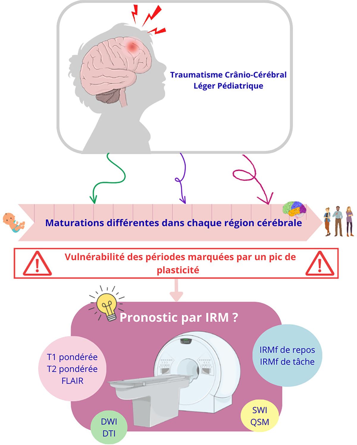 Graphical abstract