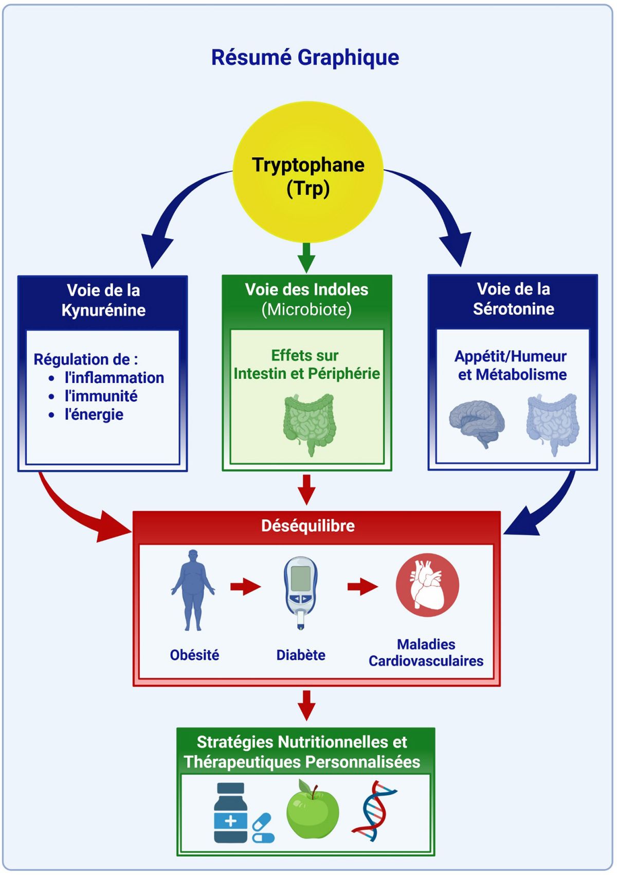 Graphical abstract