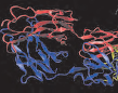 L’envol des biosimilaires