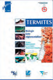 termites